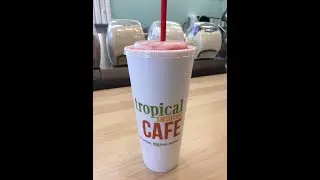 200cc Tropical Factory Gold Star