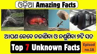 TOP amazing facts in odia  || Top 7 odia General knowledge#26Odia gk#58