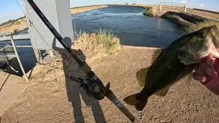 152 Fishing Pacheco Pass Highway Chatterbait Bass!