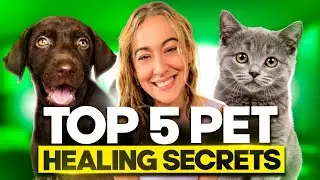 Top 5 Pet Healing Secrets 🫶🏽🐾