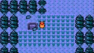 Tas-Mania [Pok&eacute;mon Argent] Capture des chiens l&eacute;gendaires