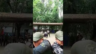 Тренировка телохранителя для агента по защите #вирусноевидео #тренды