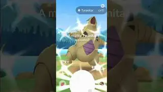 ✨MIGHTY SHINY TYRANITAR CAUGHT IN POKEMON GO!!!✨ #shorts #pokemon