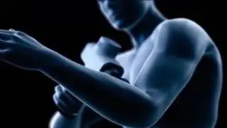 New Innovation Phoenix A2 Massage Gun