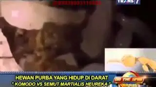 On The Spot   Versus Hewan Purba yang Masih Hidup