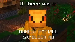 If there was a HONEST Hypixel Skyblock AD
