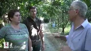 limoni in festa 2016 Massa Lubrense