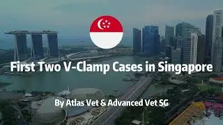 First Two V-Clamp Cases in Singapore
