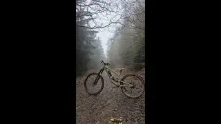 Nukeproof Giga - Marzocchi Bomber Coil - Forest of Dean Shakedown