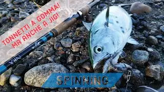 ALLETTERATI A DICEMBRE! Tonnetti a spinning - spinning tuna JIG & BLACK MINNOW - clipangler