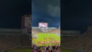 still refusing to believe i&rsquo;m not in college anymore, the FOMO is real 🥹 #cfb #collegefootball #fsu