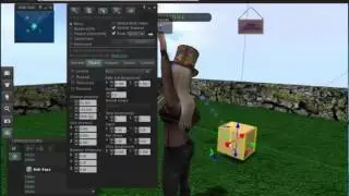 Second Life Basic Building