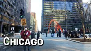Chicago Loop Downtown Walk and Train Ride | February 2025