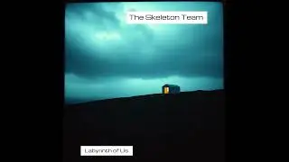 The Skeleton Team - Shadows of Freedom