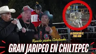HASTA LLEVARON UN MINI TORO A CHILTEPEC ESTADO DE MÉXICO | Rancho Piedra Coheteada 