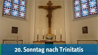 Live-Gottesdienst (02.11.2025) zum 20. Sonntag nach Trinitatis in der St.-Petri-Kirche SELK
