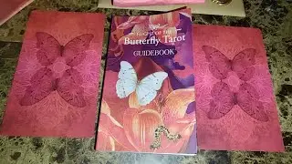 Unboxing the Flight of the  Butterfly Tarot!