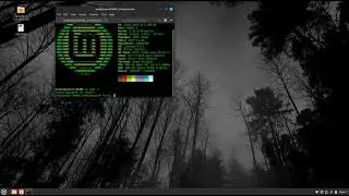 How to TRIM | DEFRAG your Linux install on SSD