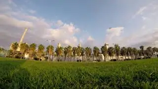 Ripping through the tree palms - FPV Barcelona