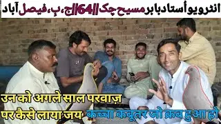USTAD BABR MASEE|| 64 JB FAiSALABAD|| 3 प्वाइंट लगातार विनर मोड़ मैं|| कबूतर की संबल कैसे हो||
