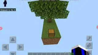 Как создать Skyblock для Minecraft Pocket Edition?