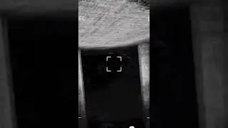Big slap flies #horrorgaming #scarycontent #contentwarning #funny #horrorgaming #scary
