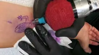 Colour Lizard Tattoo