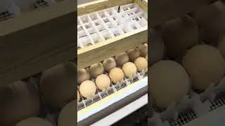 140 талик Нукусга доставка 
