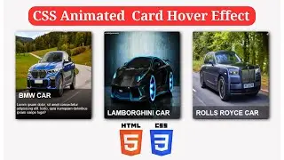 CSS Animated Card Hover Effect Using HTML And CSS With Source Code || Website Design Tutorial