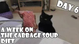 A Week On The Cabbage Soup Diet DAY 6