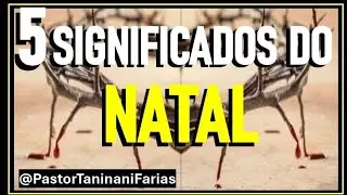SEU DESTINO ESTÁ CONECTADO AO NATAL, DESCUBRA OS 5 SIGNIFICADOS ESPIRITUAIS DO NATAL - ORAÇÃO TARDE