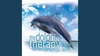 Sounds of Dolphins
