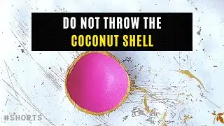 Upcycle Coconut shell #Shorts