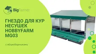 Гнездо для кур несушек HobbyFarm MG03 3 секции