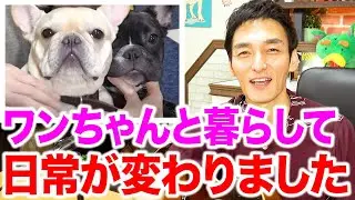 1年半ぶり！リスナーからのお便りやクルミ、レオンについて話します！【草彅ラジオ】