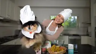 Выпечка маффинов для собак, которые можно есть и вам! (Простой рецепт, который понравится вам и в...