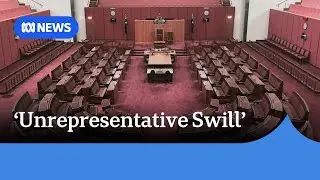 Queenslander to represent NSW senate seat in bizarre day of parliament | ABC NEWS