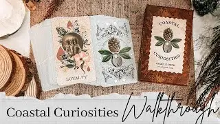 Coastal Curiosities for the win 🏆 | Walkthrough