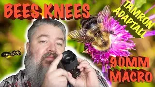 90mm F2.5 Macro Tamron Adaptall-2  SP 52b  Lens Review With Samples
