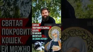 Святая покровительница кошек. Ей можно молиться за своих котов?