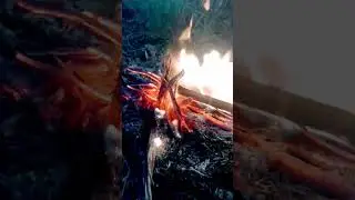 #afghan #eraparyana #erapzaimountains #shorts #tiktok #rabab #viral