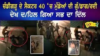 ਚੰਡੀਗੜ੍ਹ ਦੇ ਸੈਕਟਰ 40 &lsquo;ਚ ਮੁੰਡੇਆਂ ਦੀ ਗੁੰ/ਡਾਗ/ਰਦੀ ਦੇਖ ਦ/ਹਿਲ ਗਿਆ ਸਭ ਦਾ ਦਿੱਲ | Sector 40 Chandigarh News