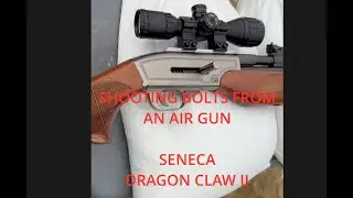 Shooting Arrows from an Airgun