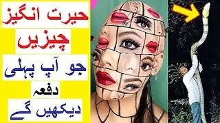Amazing Things You Will See for the First Time