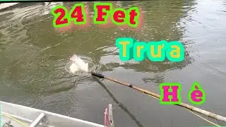D&ugrave;ng k&iacute;ch c&aacute; 24phet  bắt trọn ổ c&aacute; r&ocirc; phi tr&ecirc;n s&ocirc;ng trưa h&egrave; 0362921480