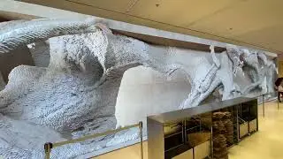 Flagship store Zara Champs Elys&eacute;es : giant 3D screens checkout