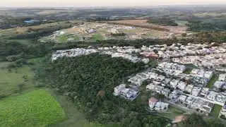 Patch of forest from above #drone