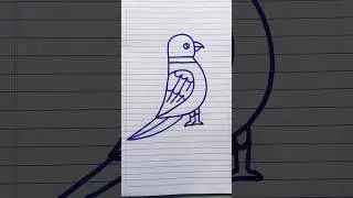 Parrot Drawing 5 Number #drawing #shorts #viralvideo