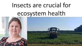 Insect Management for Wildlife in Agriculture - Dr. Kelly Hamby - Episode 38