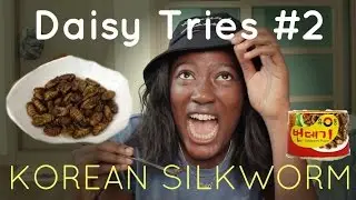 Daisy Tries #2- Korean Silkworm Challenge/번데기 (Pt 1)